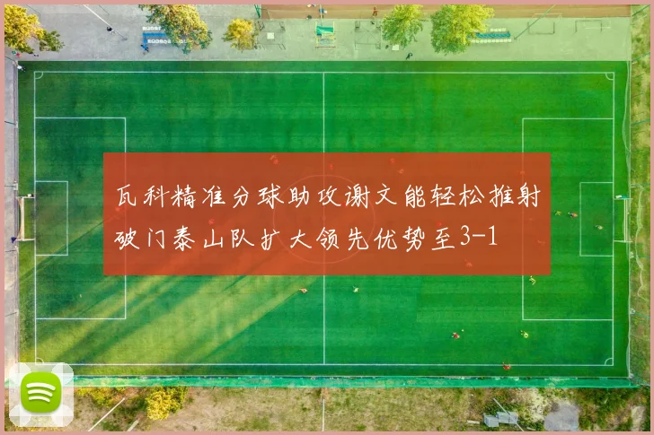 瓦科精准分球助攻谢文能轻松推射破门泰山队扩大领先优势至3-1